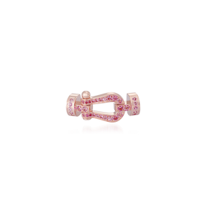 Force 10 Buckle