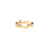 Force 10 Buckle