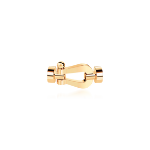 Force 10 Buckle