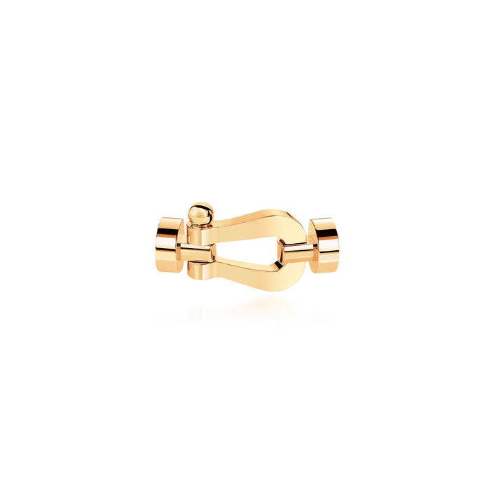 Force 10 Buckle