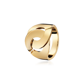 Menottes R16 Ring
