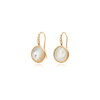 Jaipur Colour Earrings