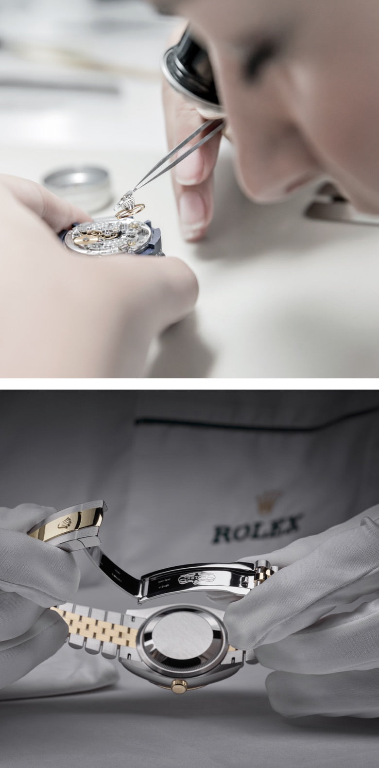 Rolex - Uniting expertise
