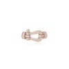 Force 10 Buckle