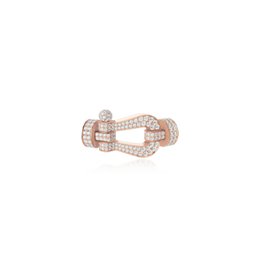 Force 10 Buckle