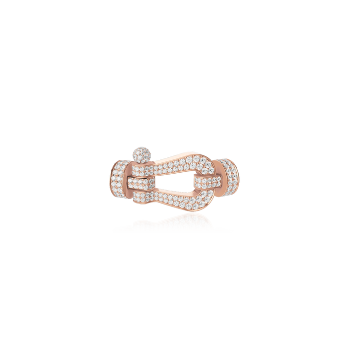Force 10 Buckle