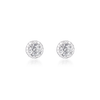Classic Earrings