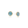 Jaipur Earrings
