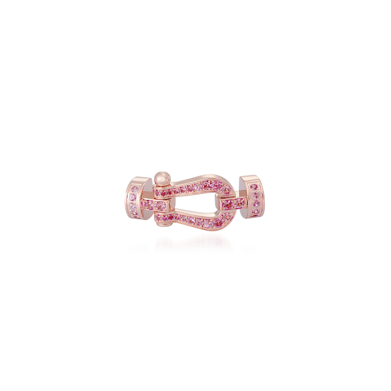 Force 10 Buckle