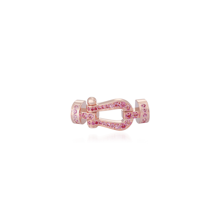 Force 10 Buckle