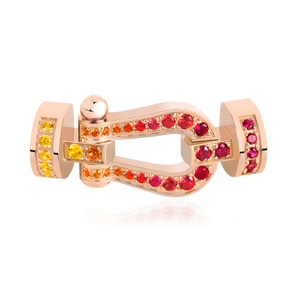 Force 10 Buckle