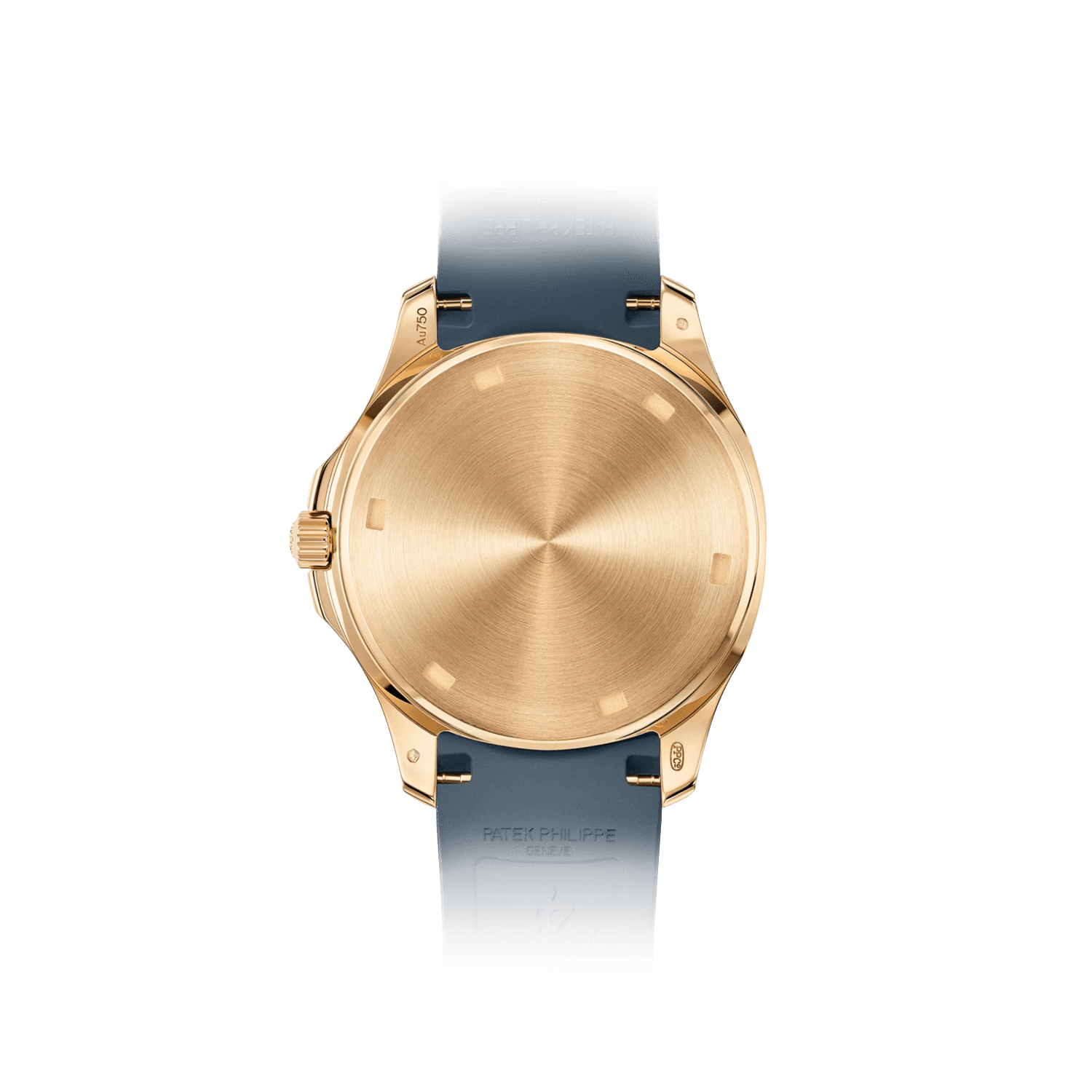 5269R-001 - Aquanaut – David Rosas