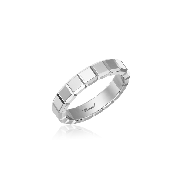 829834-1009_grande.png?v=