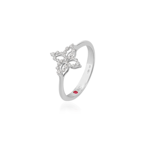 Diamond Princess for Carousel Ring