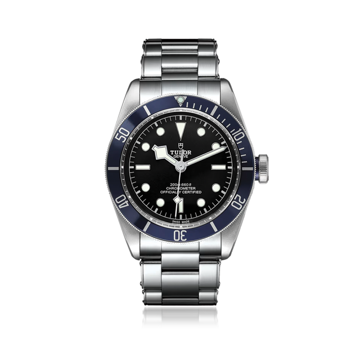 Tudor Black Bay