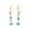 Paradise Earrings