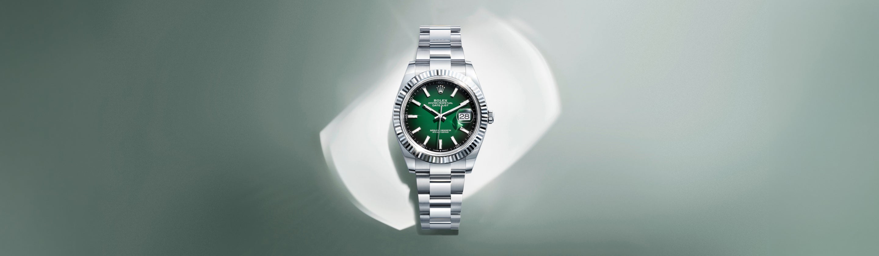 Rolex Datejust Watches | David Rosas
