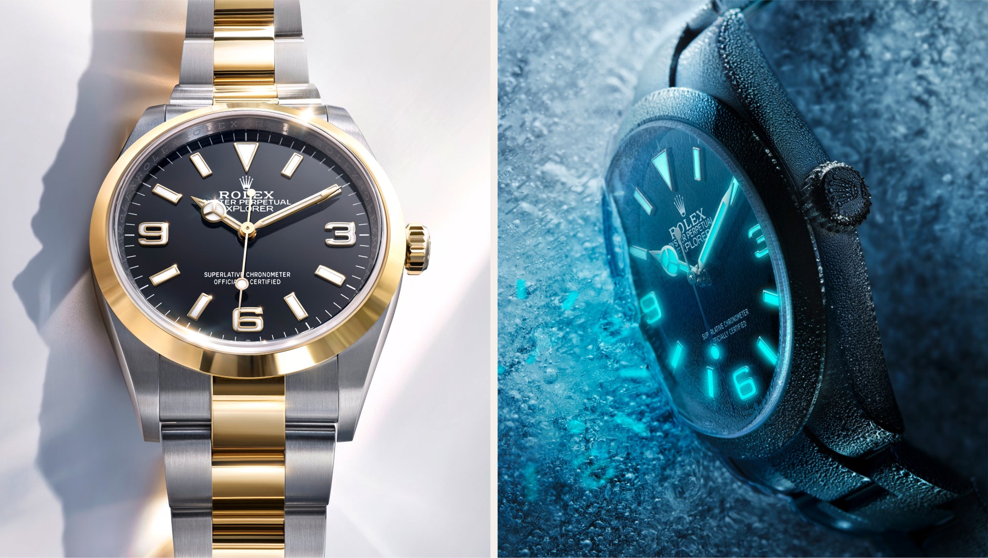 Rolex Explorer Watches | David Rosas