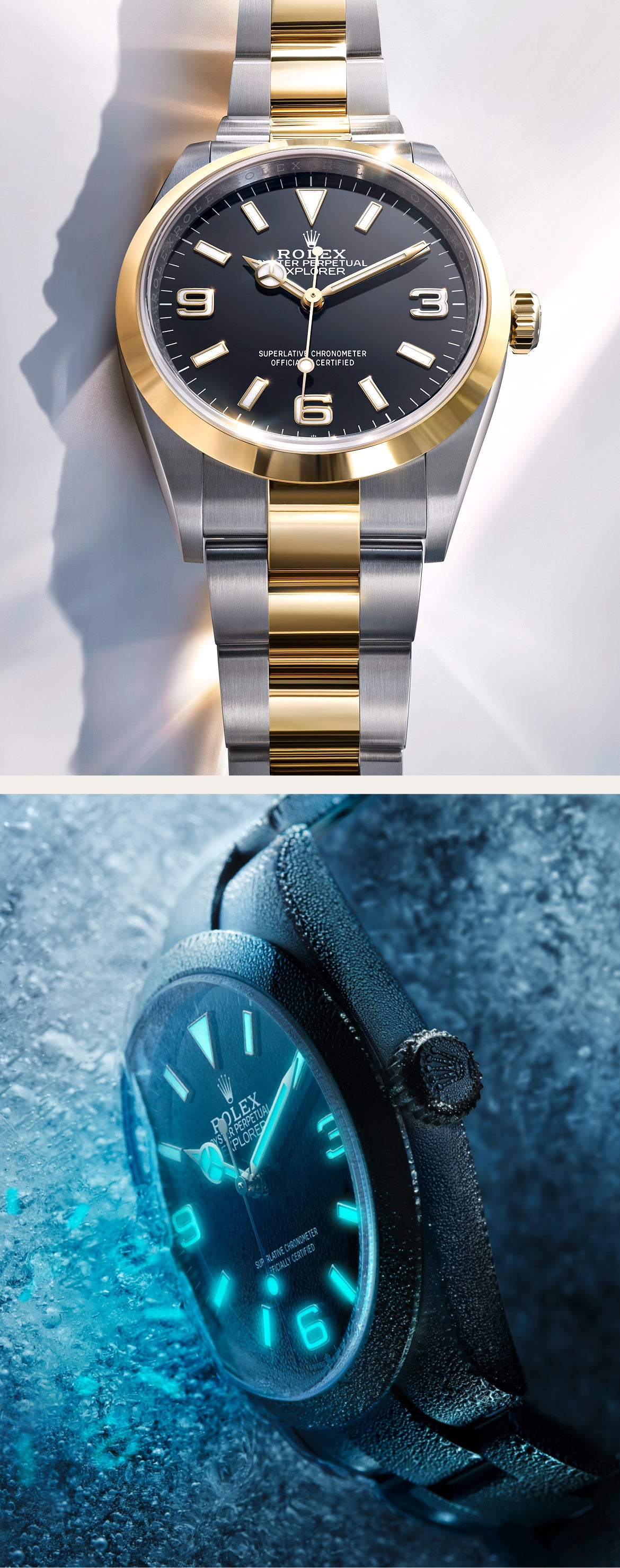 Rolex Explorer Watches | David Rosas