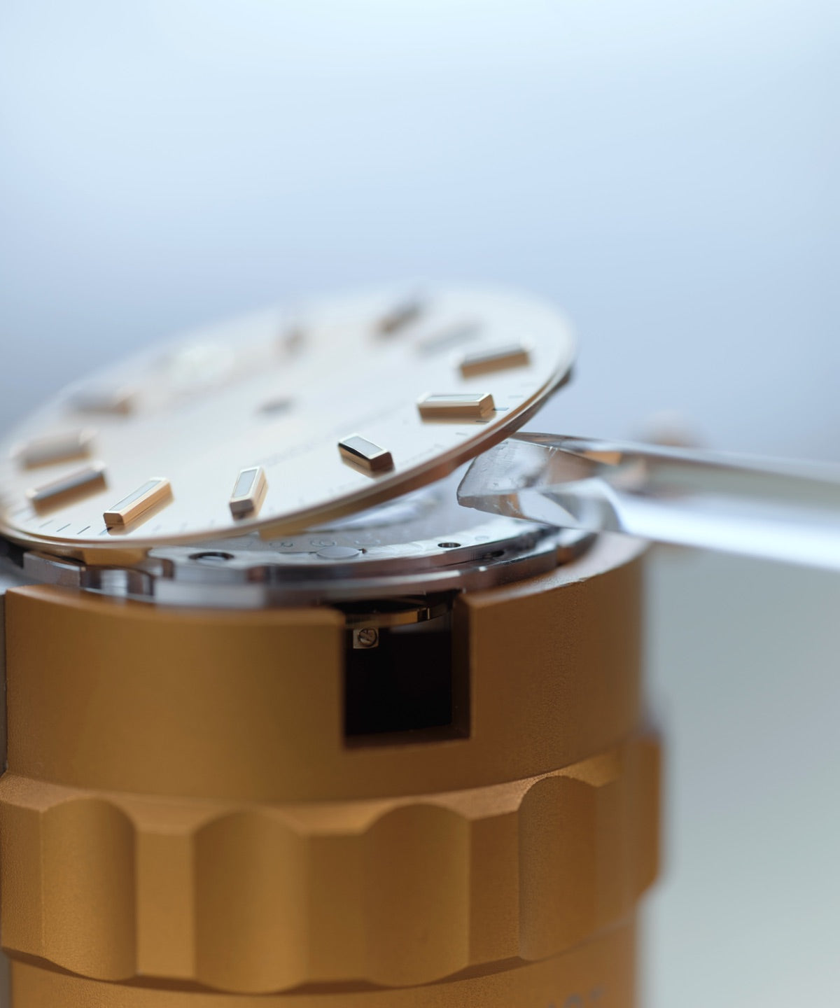 Rolex watch servicing procedure at David Rosas